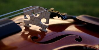 Špičkový mistrovský kus od HERCLÍKA J.B. - 15