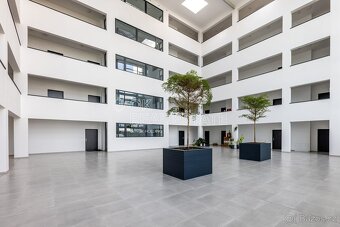 Pronájem bytu 2+kk, 65 m2 - Plzeň - Skvrňany, ev.č. 00733 - 15