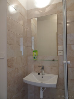 Pronájem slunného bytu 2+1 - 15