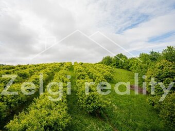 Polom - Jabloňový sad 9760m² s zahradním domkem na prodej - 15
