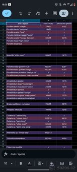 Stinky - isopody - 15
