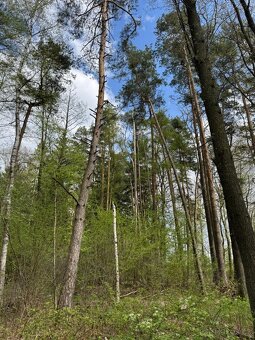 Prodám pozemky v katastrálním území Mníšek - 15