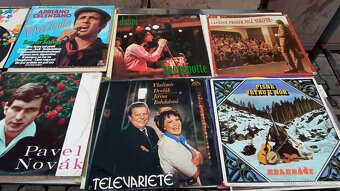 Lp desky množství 300 ks. - 15