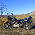 Yamaha XV 125 Virago - 15