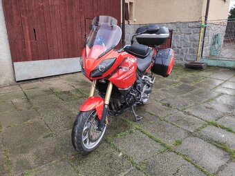 Triumph Tiger 1050 ABS - 15