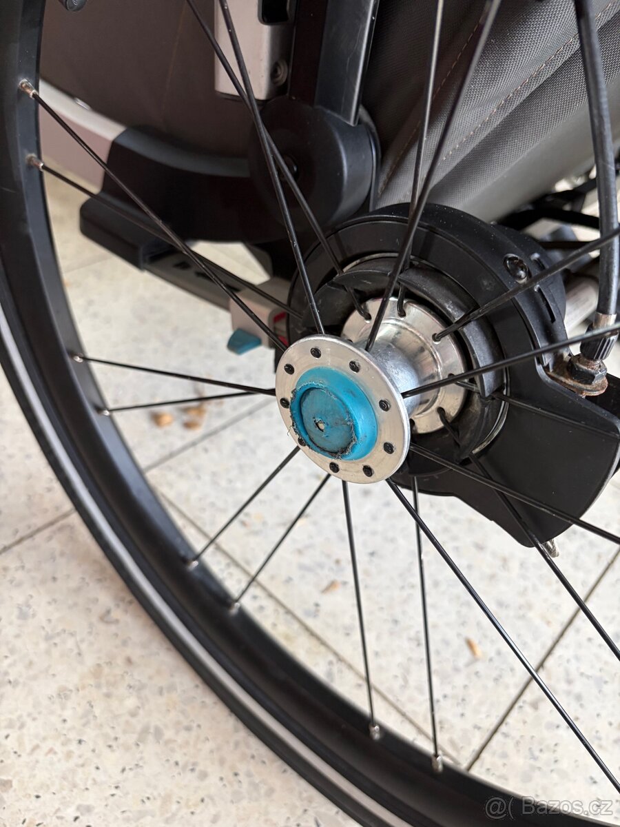 Thule chariot - 16
