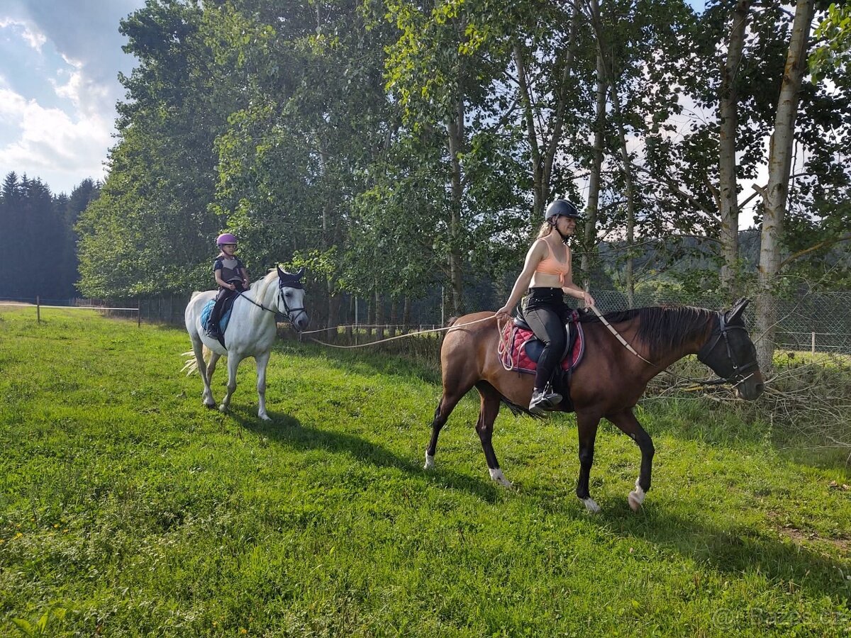 Dva koně pro začátečníky - 16