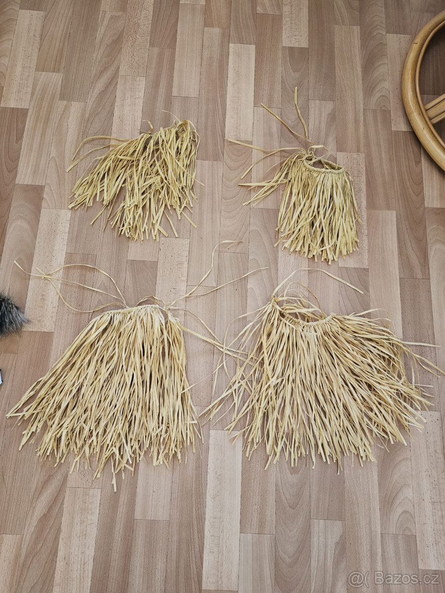 Lidojedi - masky na maškarní ples - 16