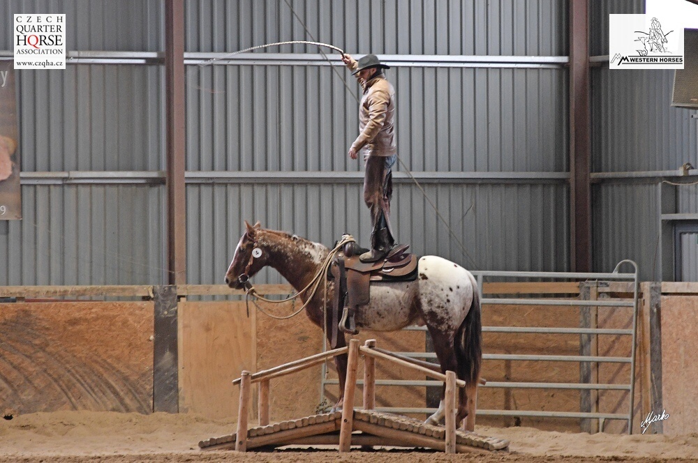 Appaloosa hřebeček - 16