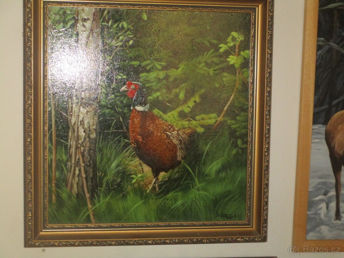 doplnky-obrazy-olejomalba-akvarel - 16