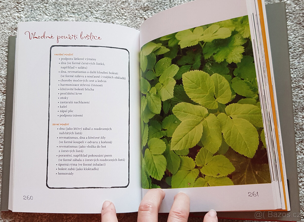 Kuchařka ze Svatojánu 2x a Rok ve Svatojánu - 16