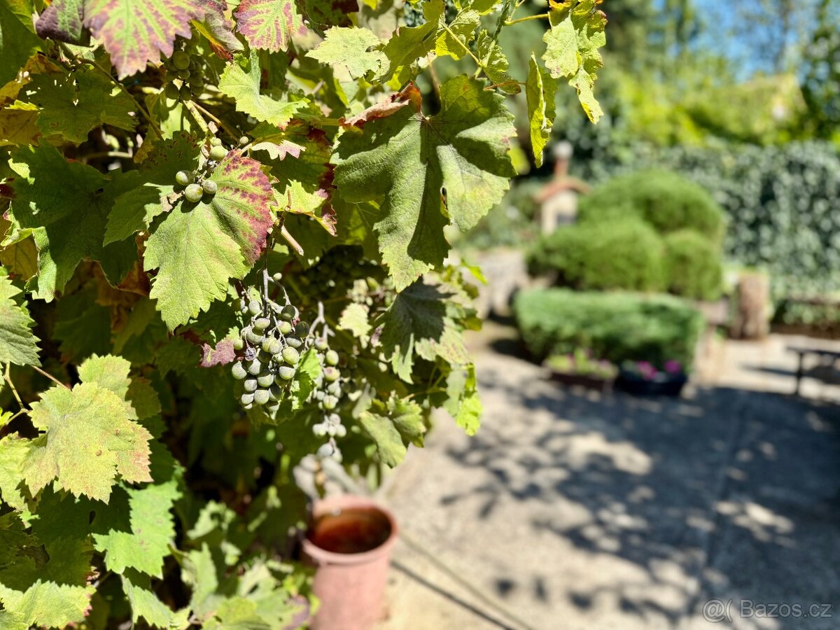 Prodej chaty 25 m², pozemek 521 m² - 16