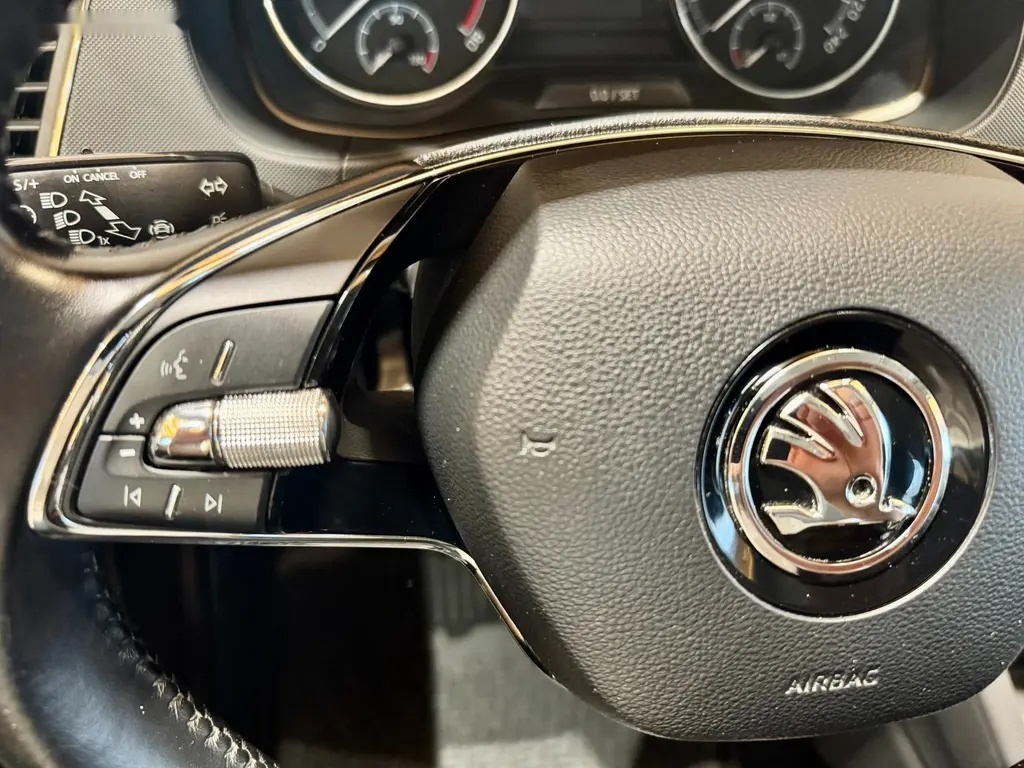 Škoda Fabia, 1.0 TSi DSG Ambition Plus - 16