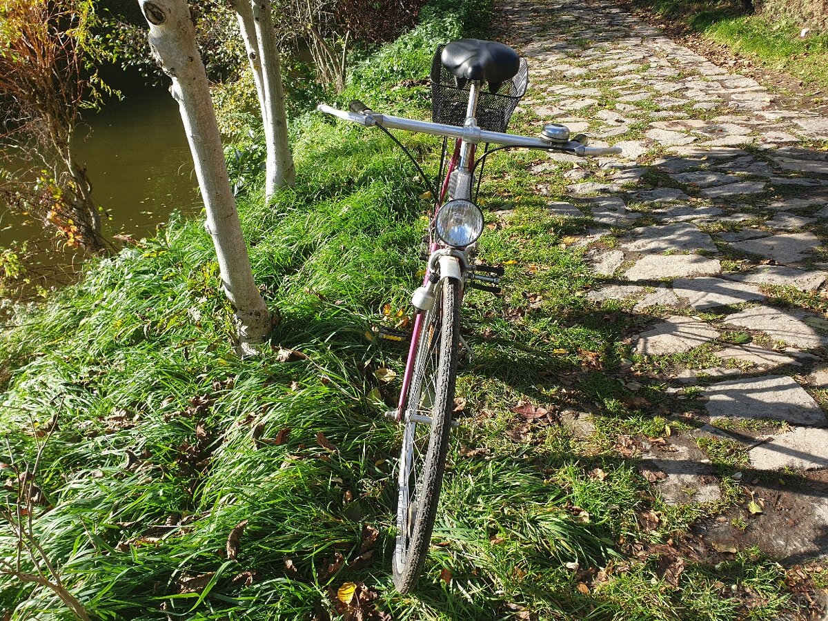 Jízdní kola retro Favorit, Eska - 16