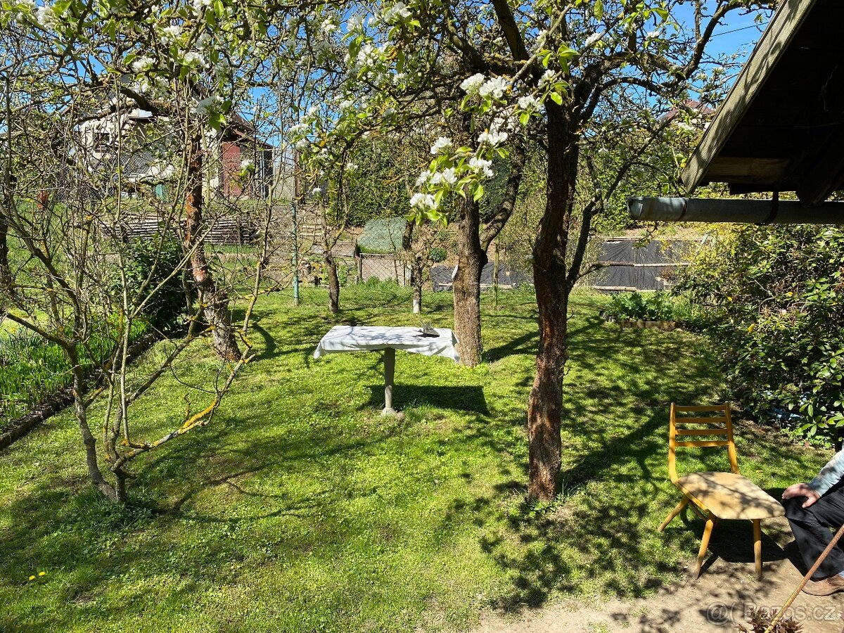 Prodej zahrady - 16