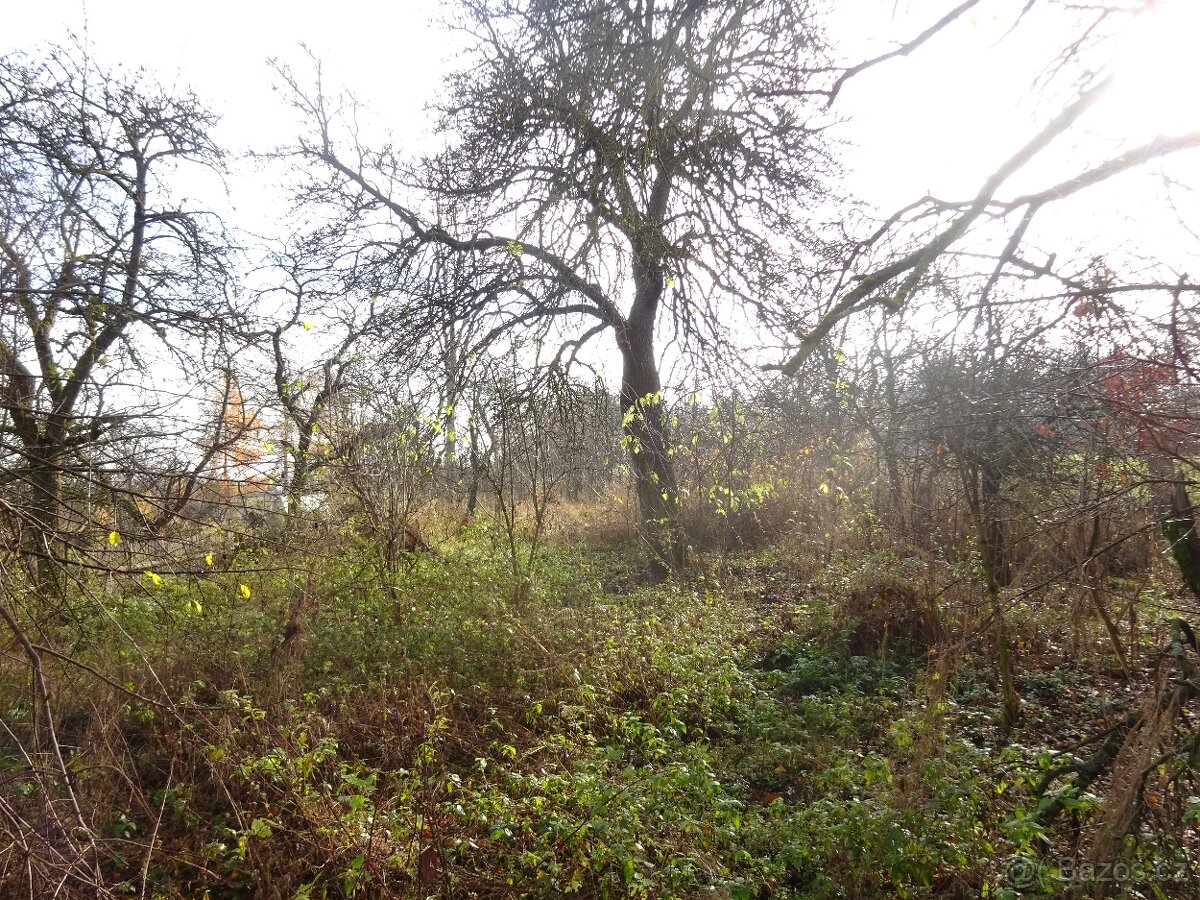 Bydlení na venkově - 16