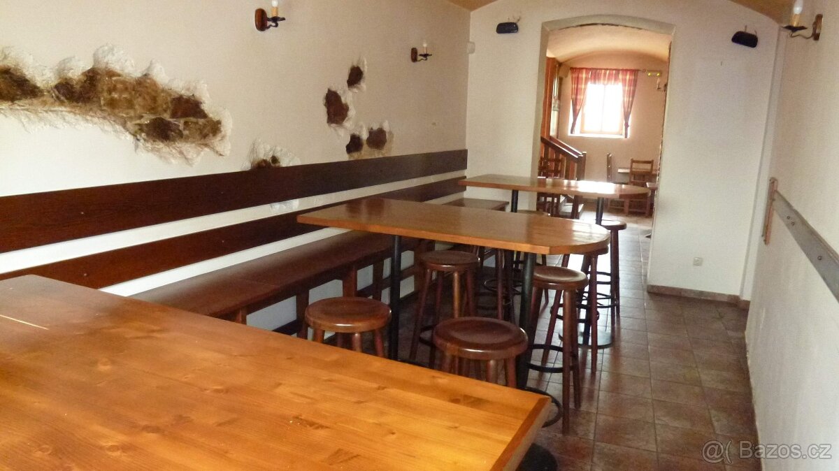 Pronájem restaurace České Budějovice, Na Mlýnské stoce - 16