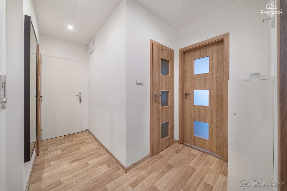 Prodej bytu, 60m2, Tichá ulice, Plzeň , Skvrňany - 16