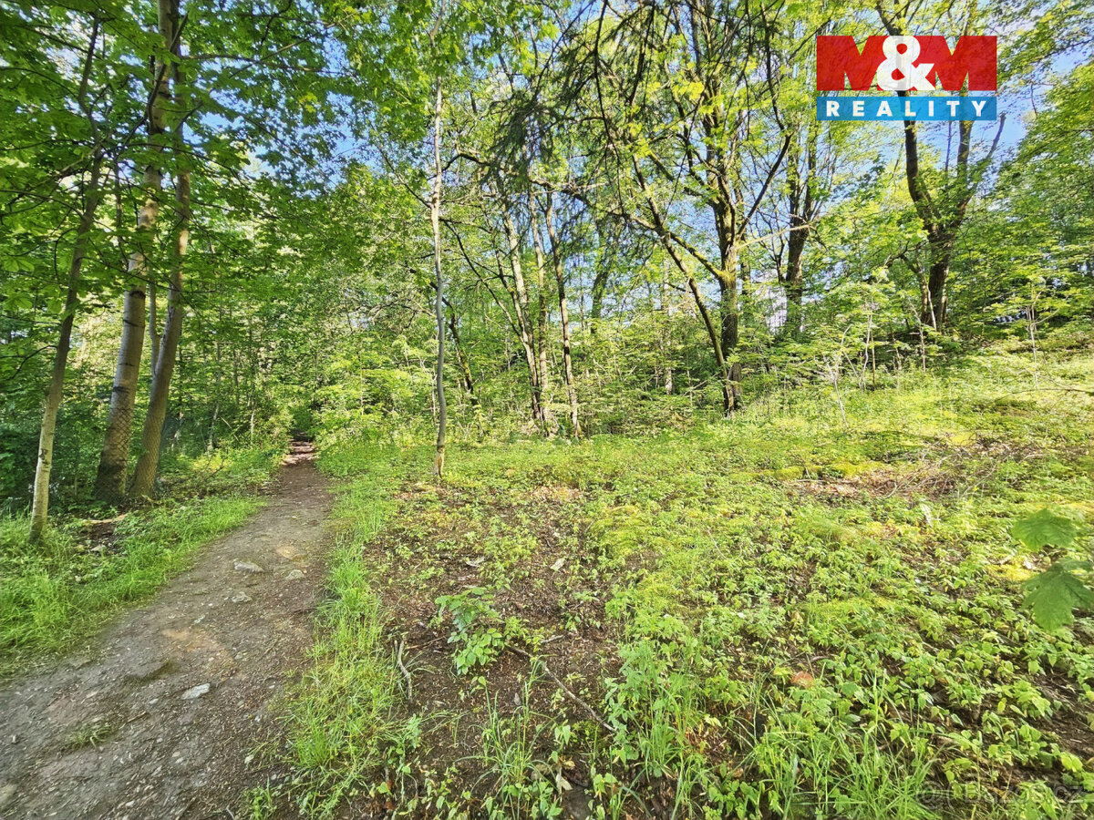 Prodej pozemku k bydlení, 9804 m², Aš - 16