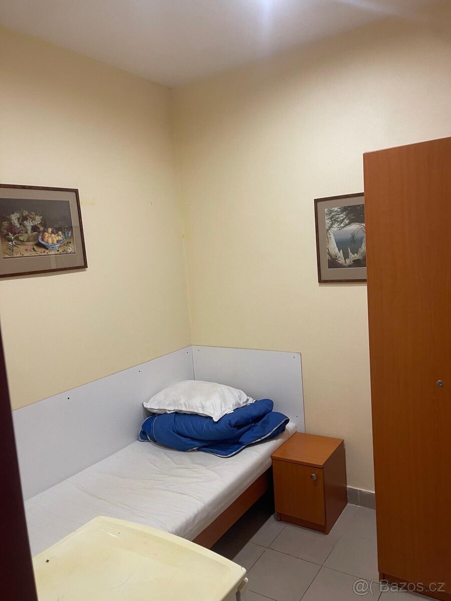 Pronájem rodinných bytových jednotek na ulici Jihlavská – vš - 16