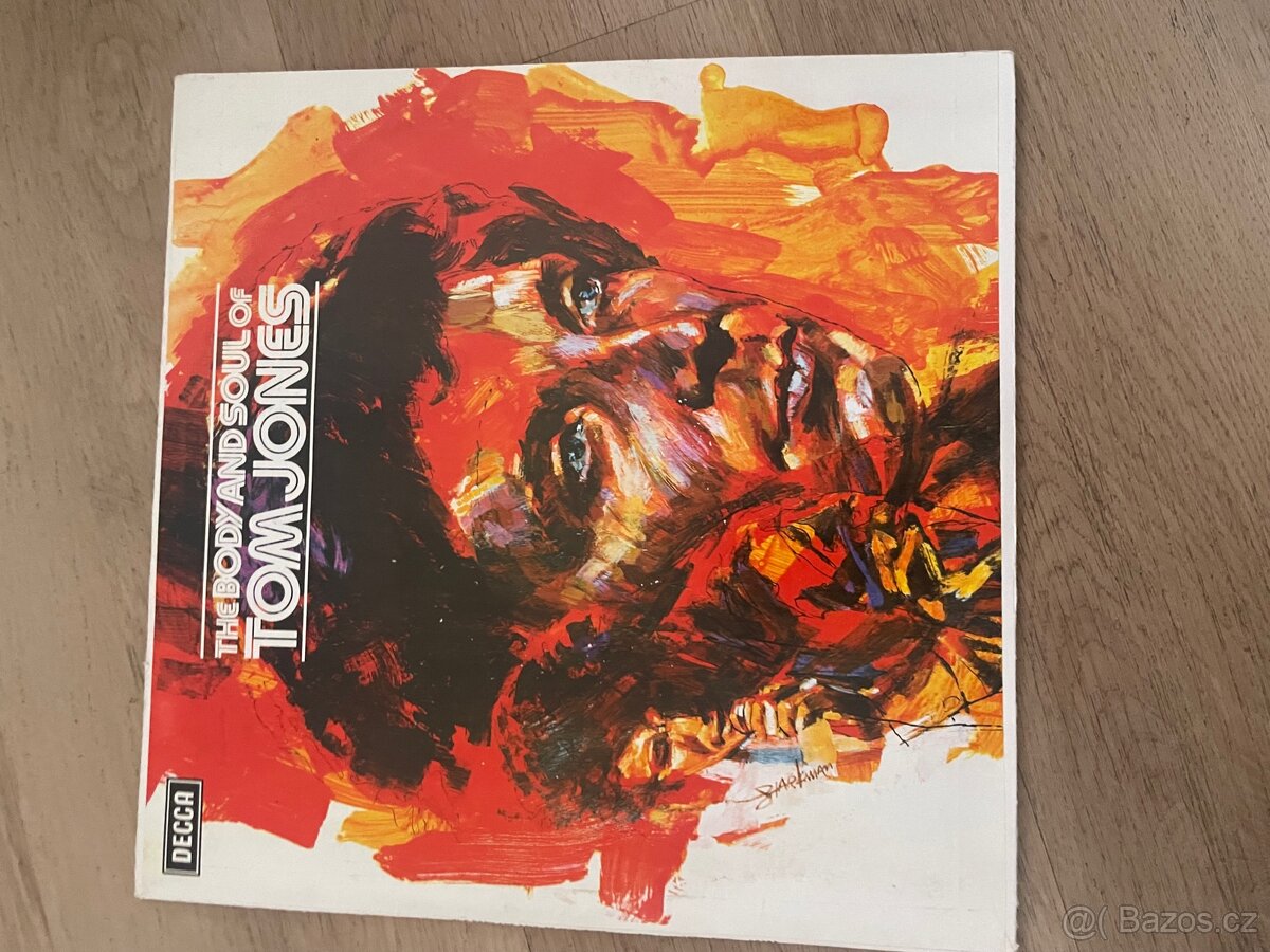 Gramofonové desky - 16