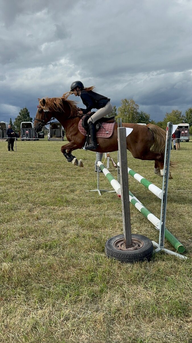 WPBR kobyla i pro začátečníky - 16