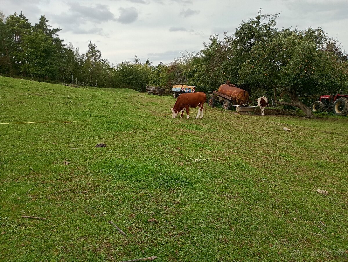 Zahrada v intravilánu obce, výměra: 7.428 m2. - 16