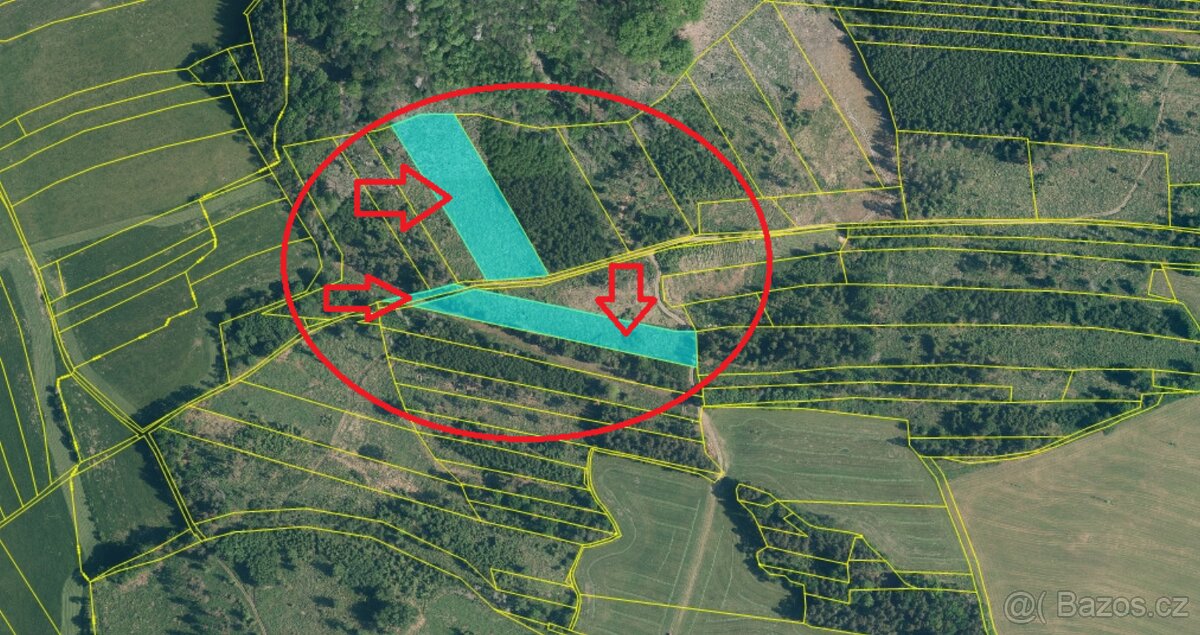 Prodej lesních pozemků k.ú. Úboč - 16