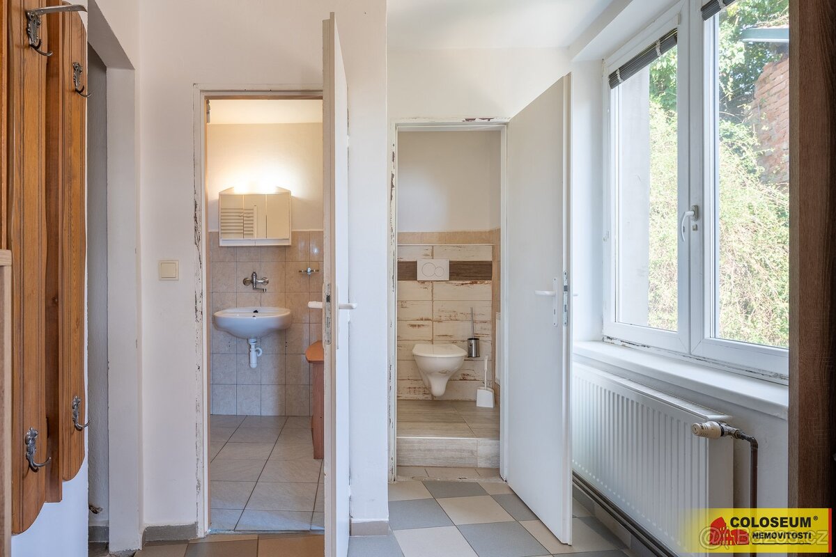 Dolní Kounice, bytový dům, terasa, dílna, sklep – bytový dům - 16