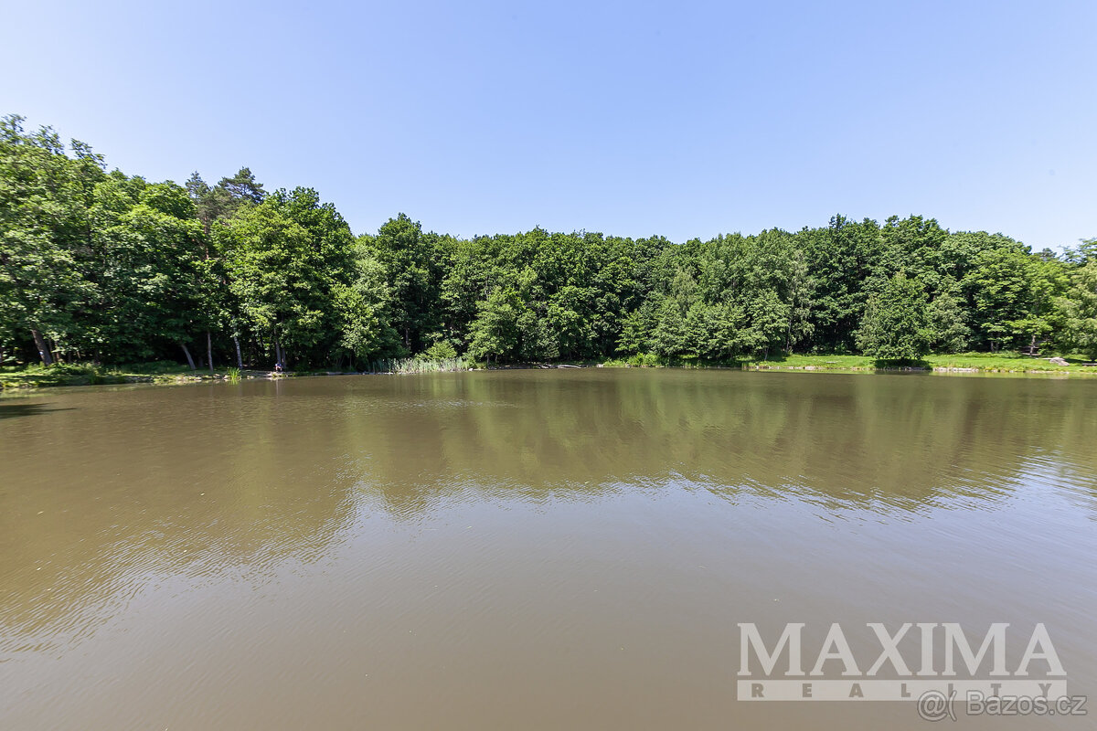 Dům 5+kk o ploše 200 m2 - Černé Voděrady, Černé Voděrady - 16