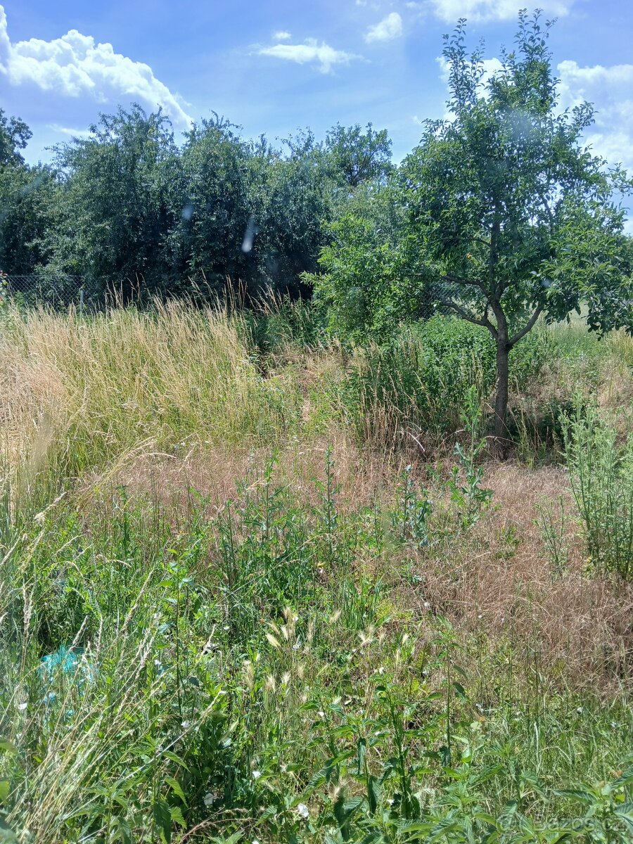 Rodinný dům v Šanove u Hrušovan nad Jevišovkou - 16