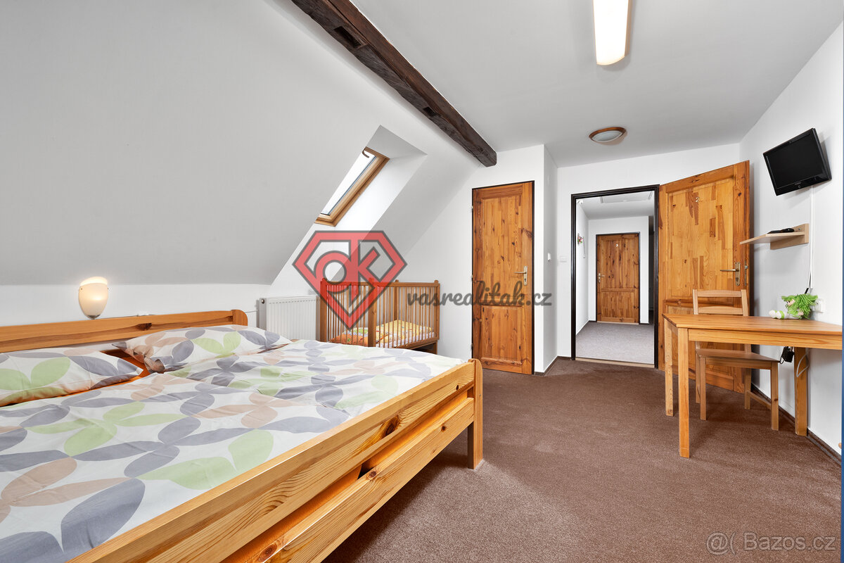 PRODEJ - penzion Hanka v Orličkách - 16