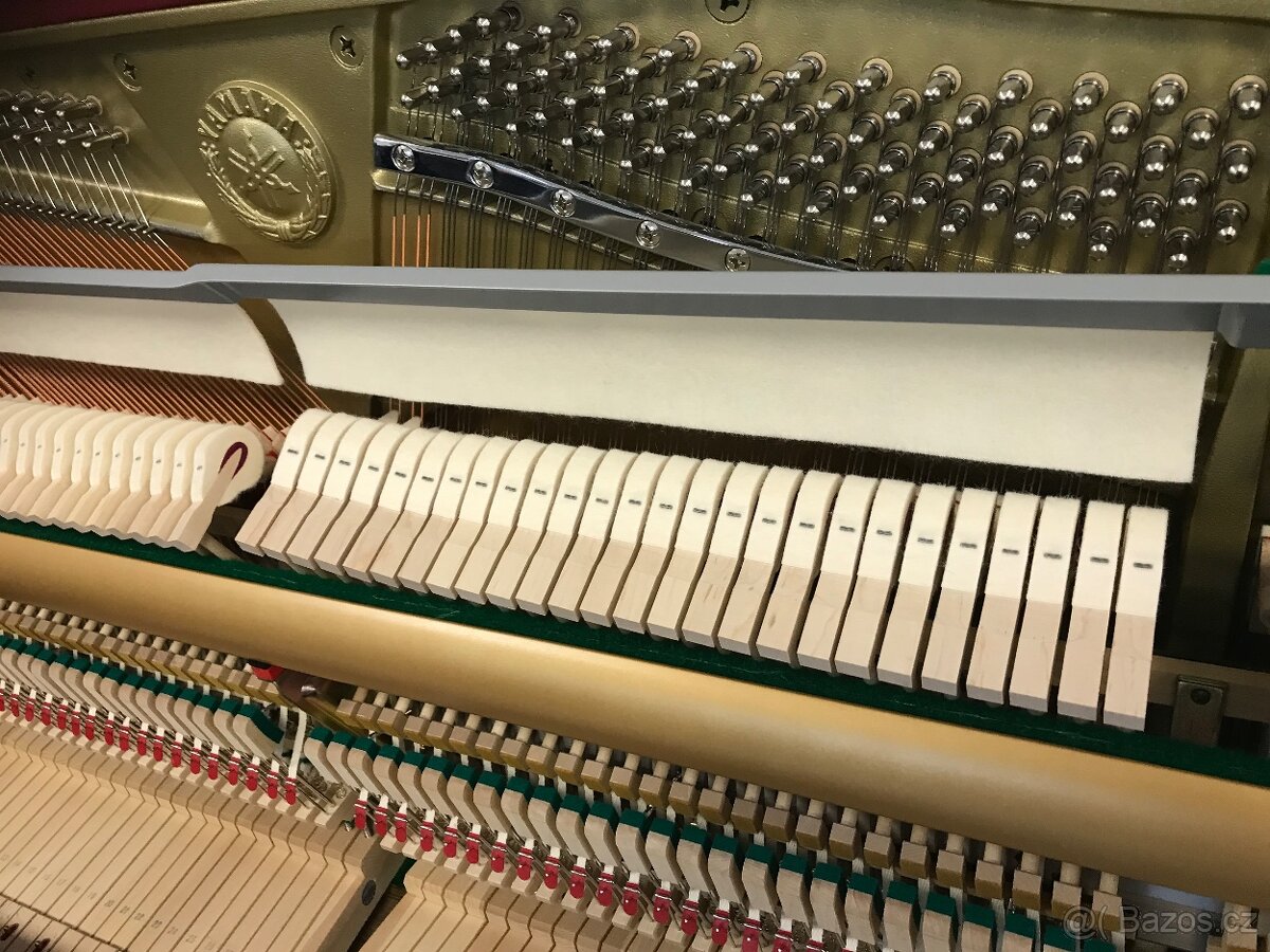 Yamaha B3 se zárukou 5 let, včetně 1. servisu a dopravy - 16