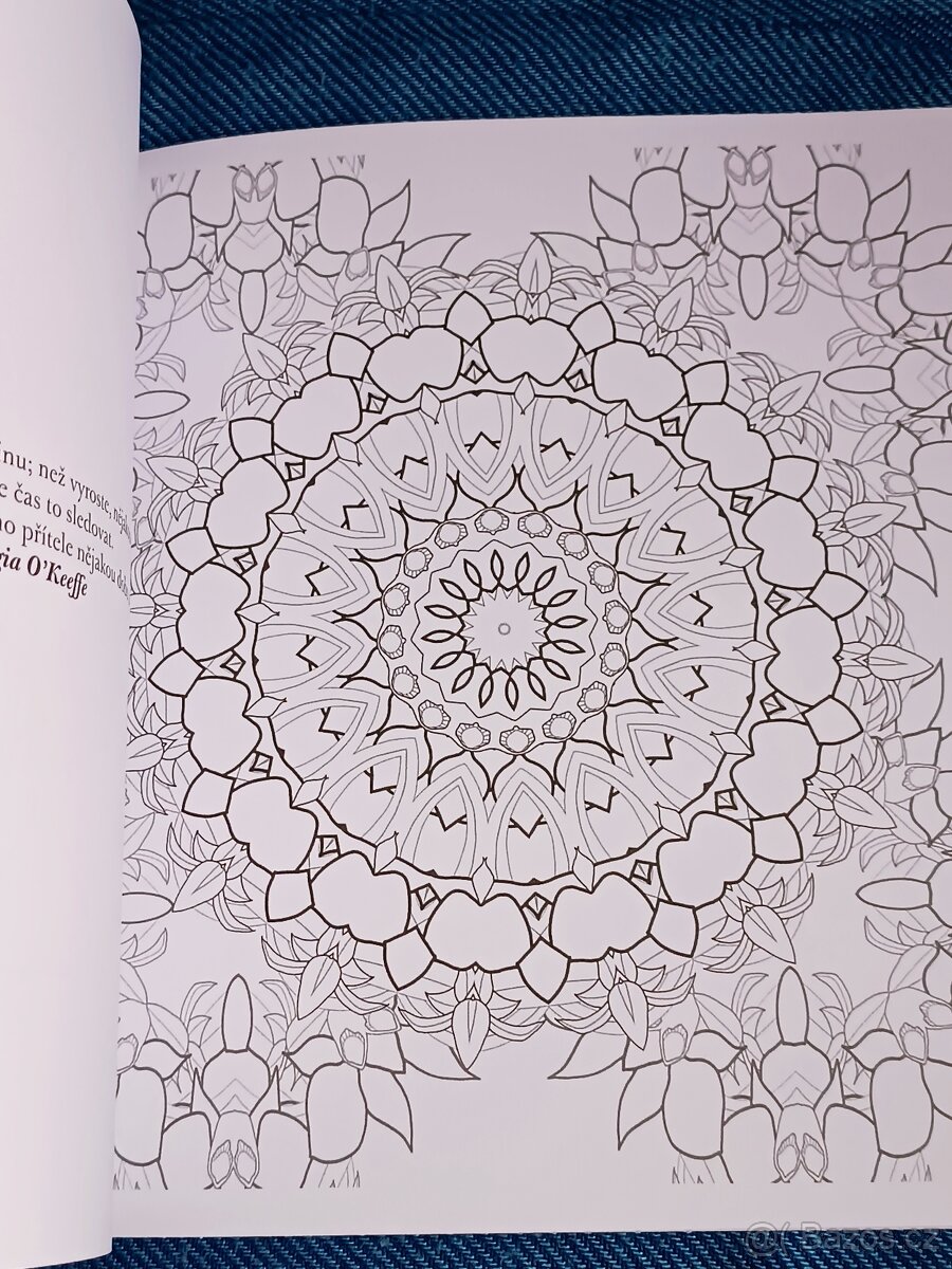 Omalovánky pro dospělé: Inspirativní a ............. - 16