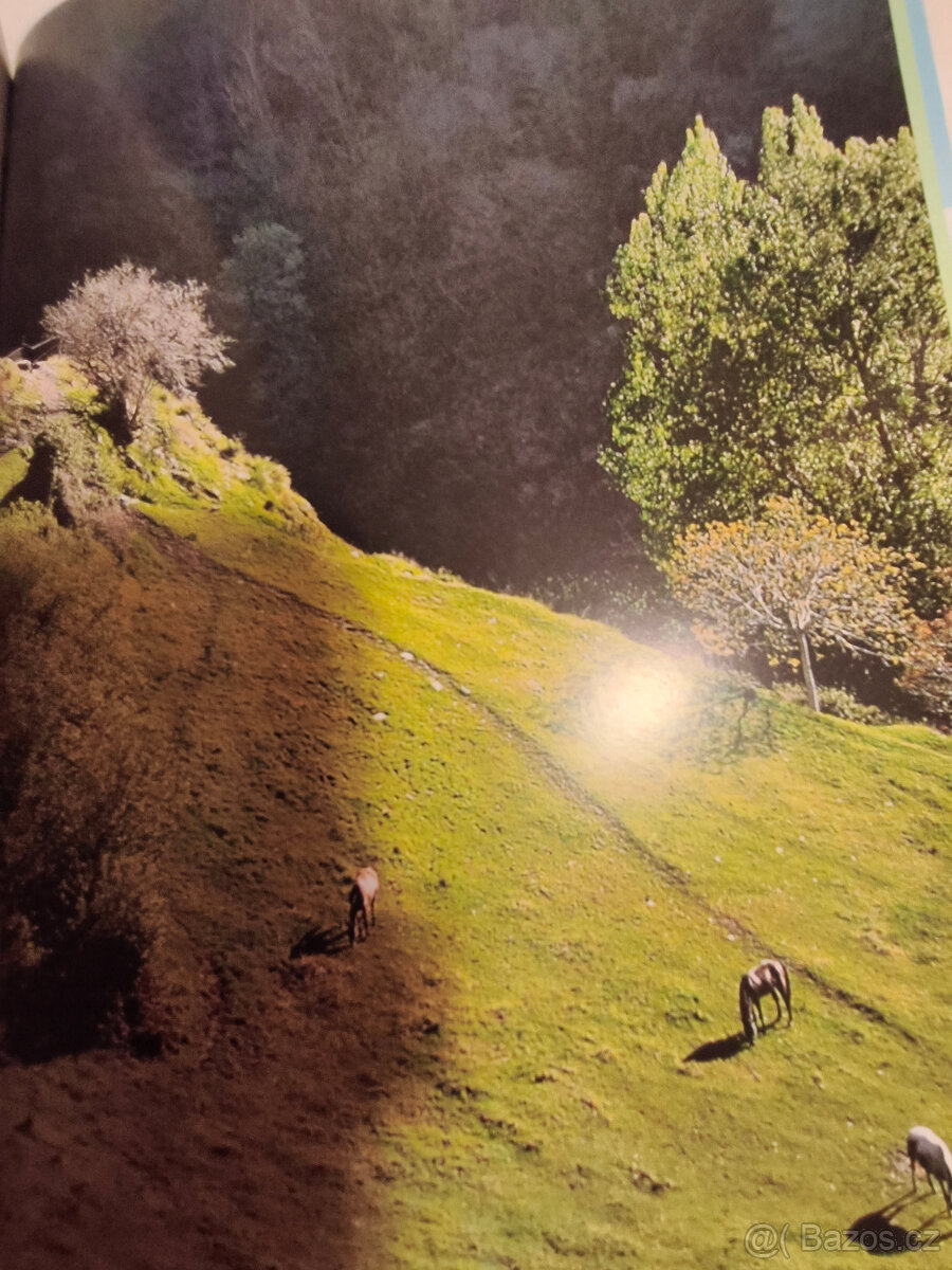 Prodám novou knihu Eko turistika - 16