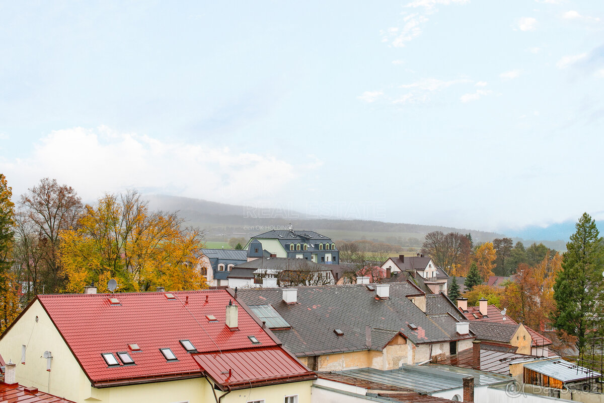 Prodej bytu 2 + 1, 64 m² Jiráskova, Nýrsko - 16