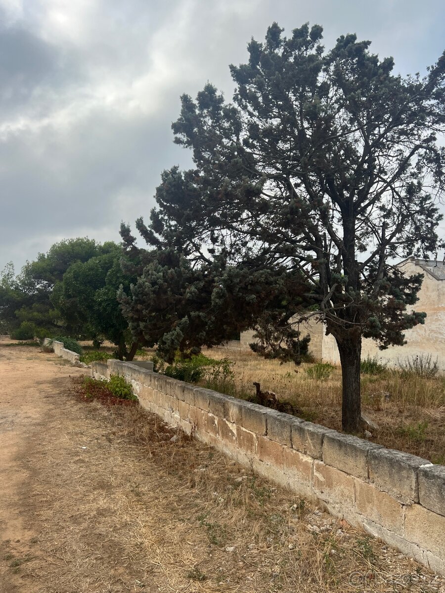 Pozemek 1100m2 500m od pláže🇮🇹 - 16