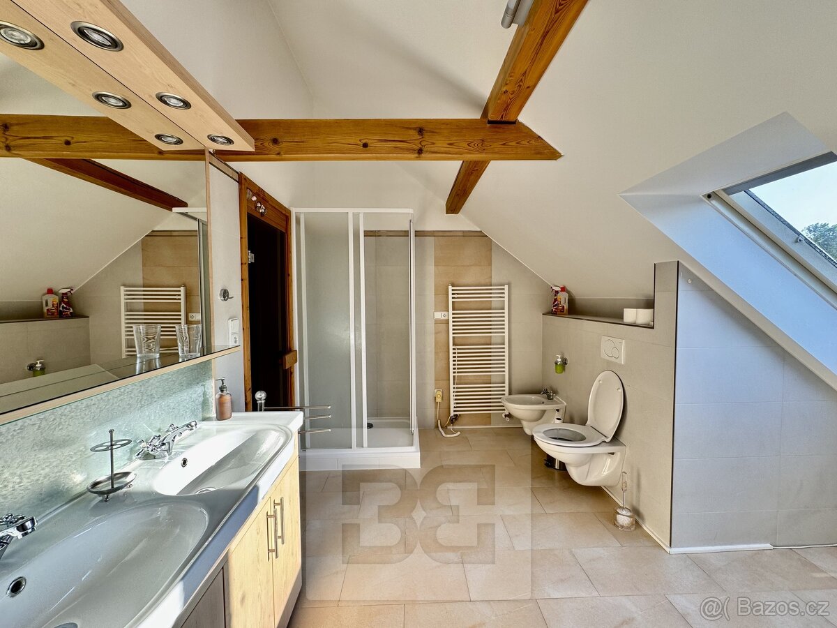 Pronájem byty 4+kk, 195 m² - Velké Opatovice, ev.č. N08297 - 16