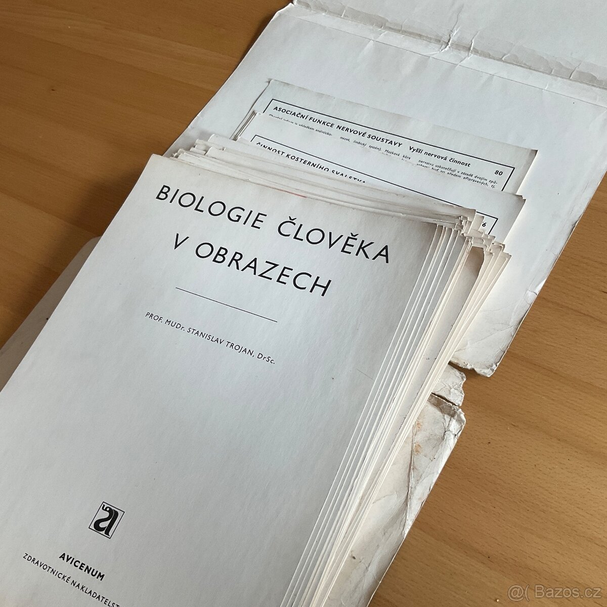 Retro- Biologie člověka v obrazech- A4 - 16