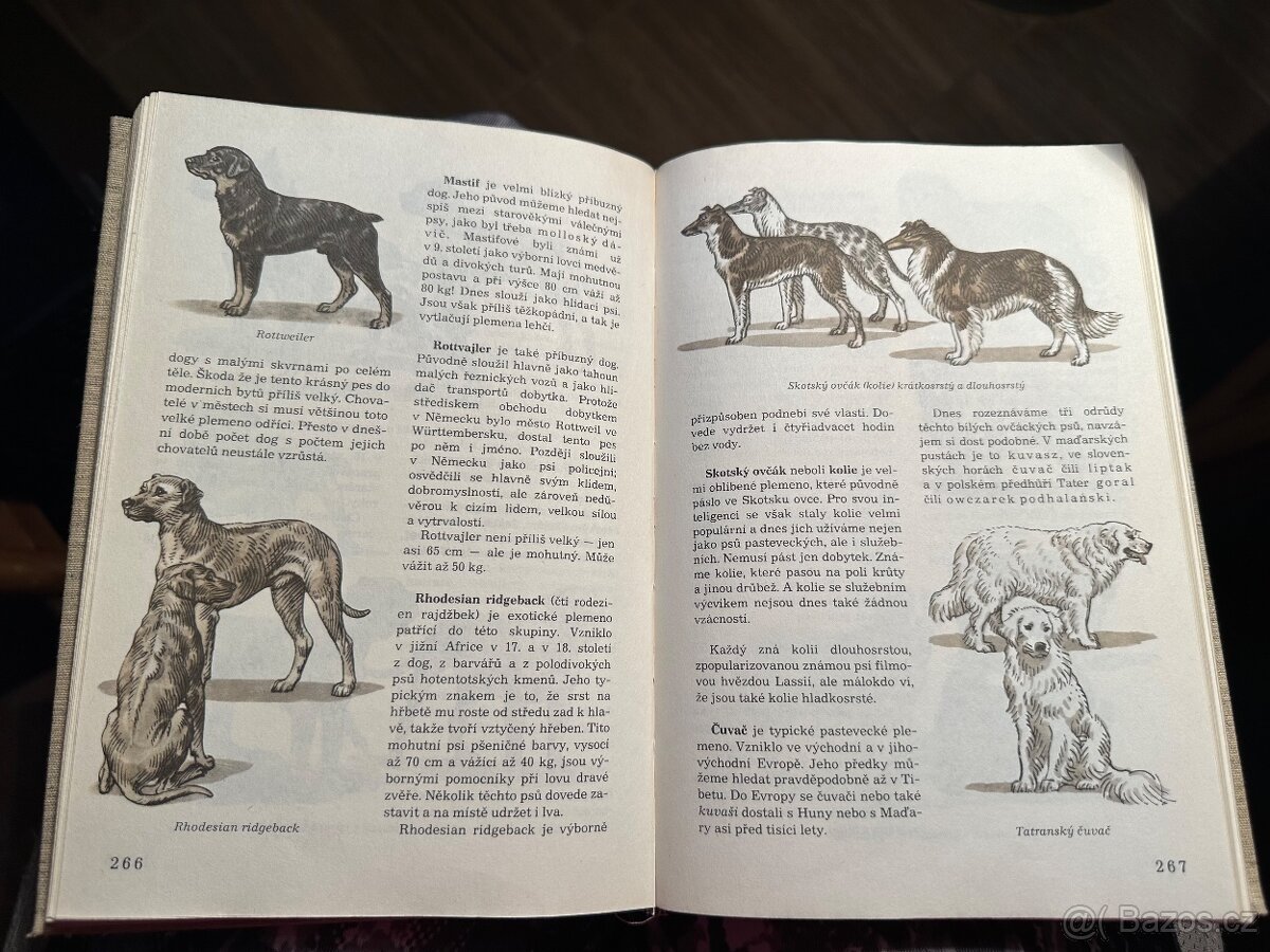 Světem zvířat - 16