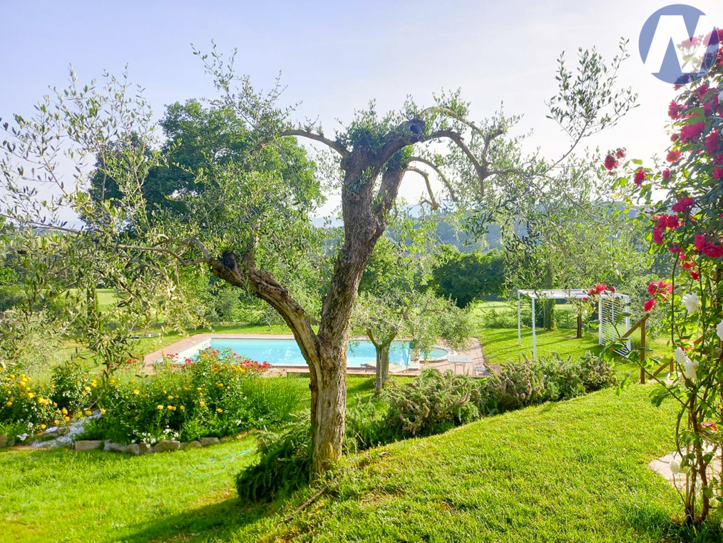 Rezidence Elisa nedaleko Cortony, Toskánsko - 16