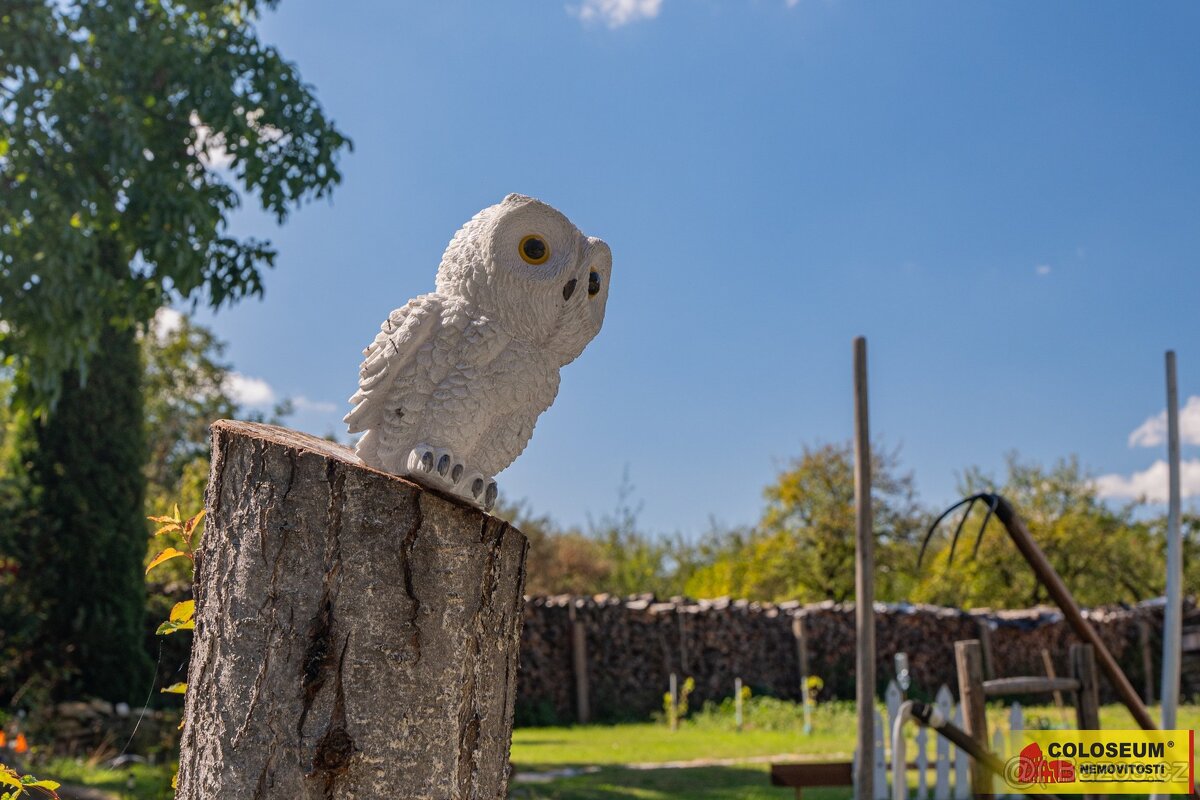 Šumná, RD 3+1, 150 m², zahrada, hospodářská budova, garáž – - 16