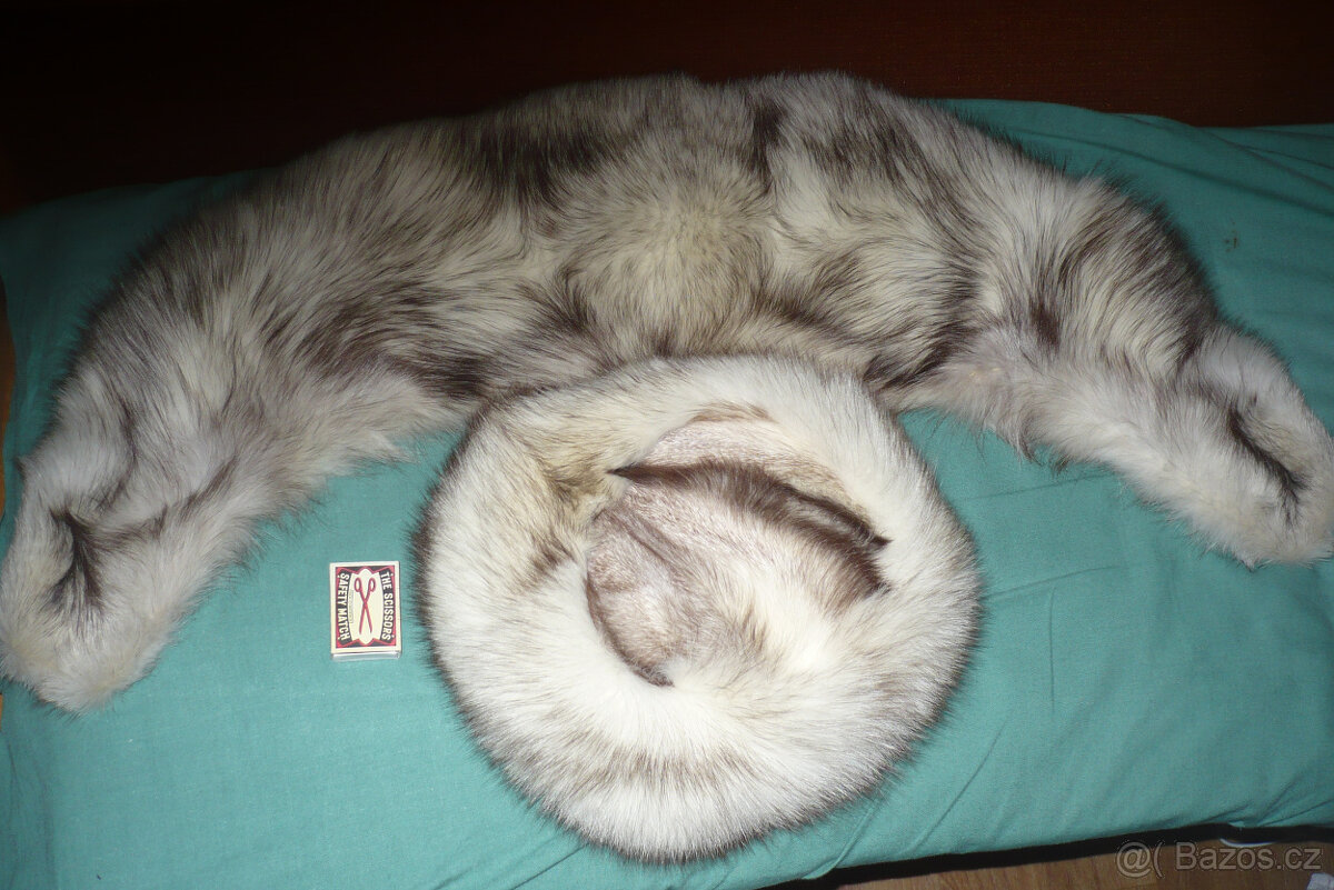 stříbrná liška a kožený kabát - 16