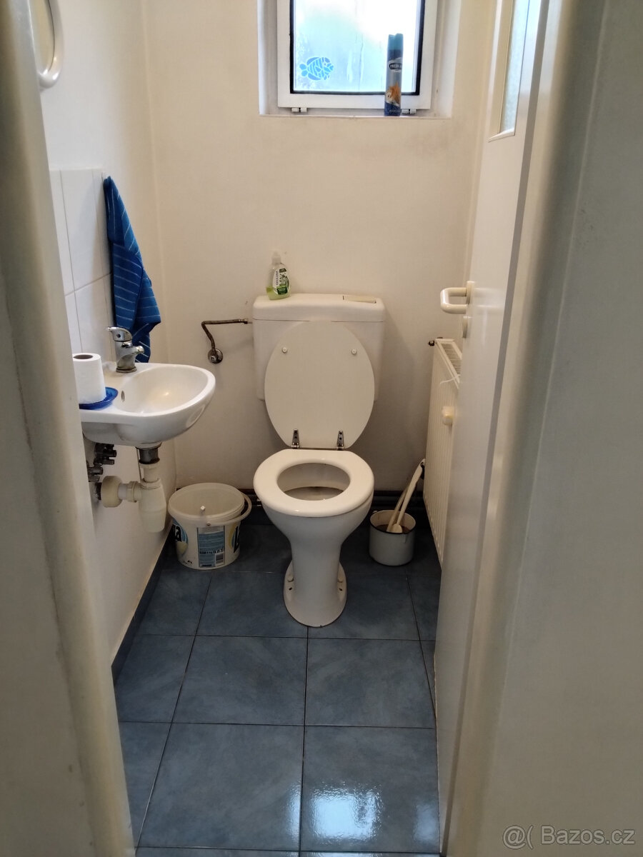 Dům se zahradou ve Vodňanech - 16