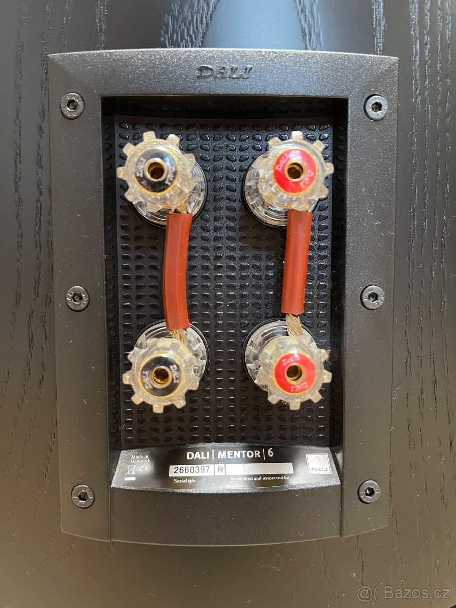 Dali Mentor 6 - 16