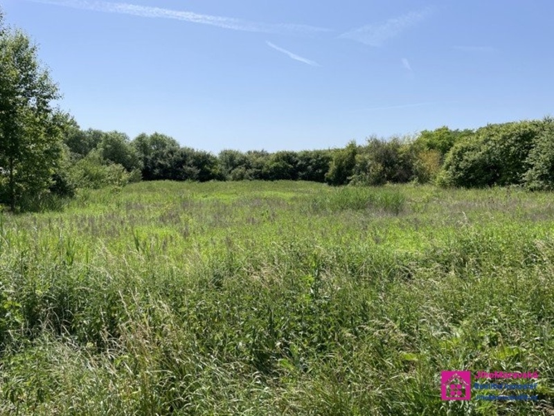 Prodej stavebního pozemku, 7 284 m², Diváky - 16