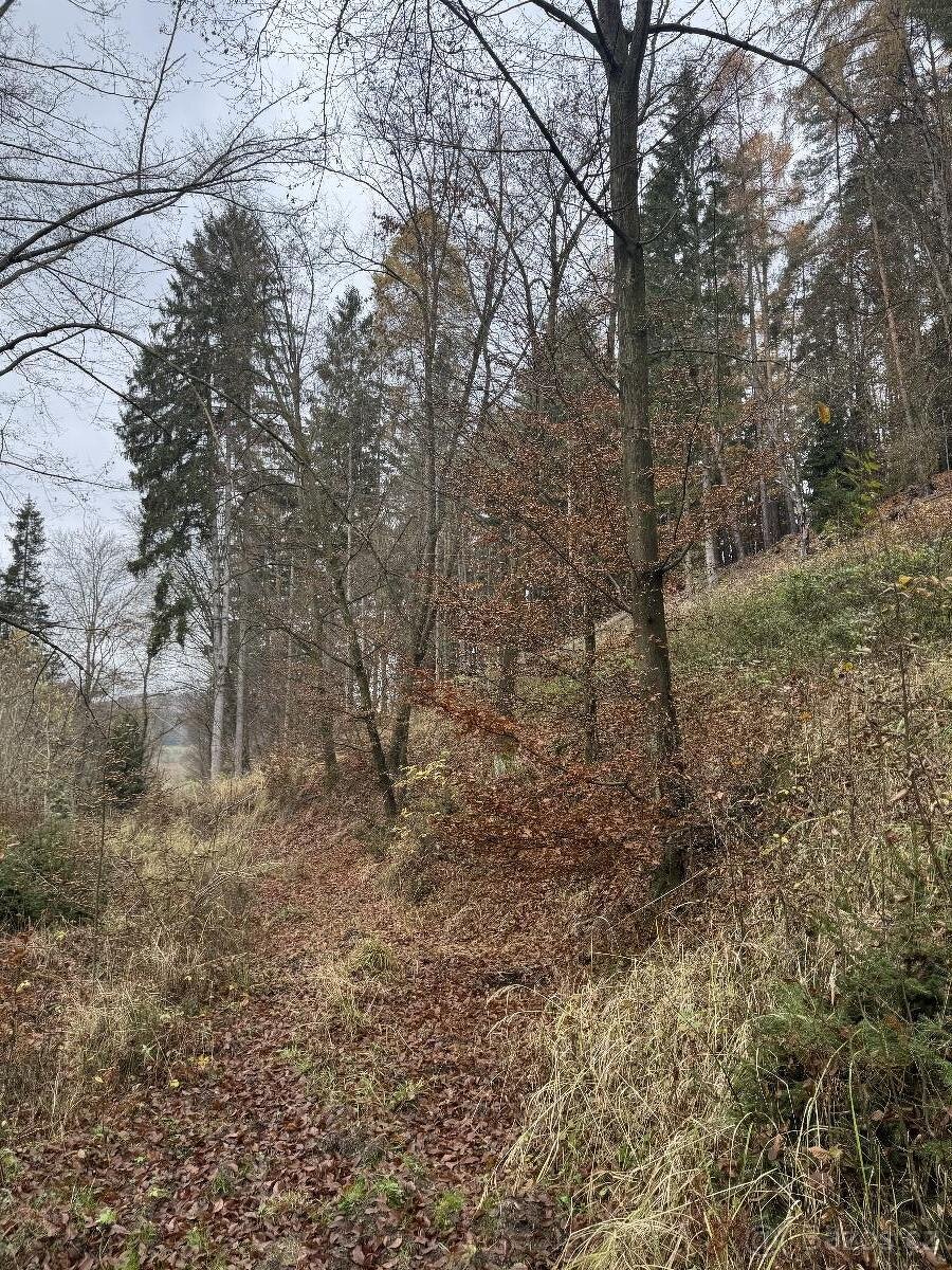 Prodám lesní pozemky v k.ú. Střemeníčko - 16