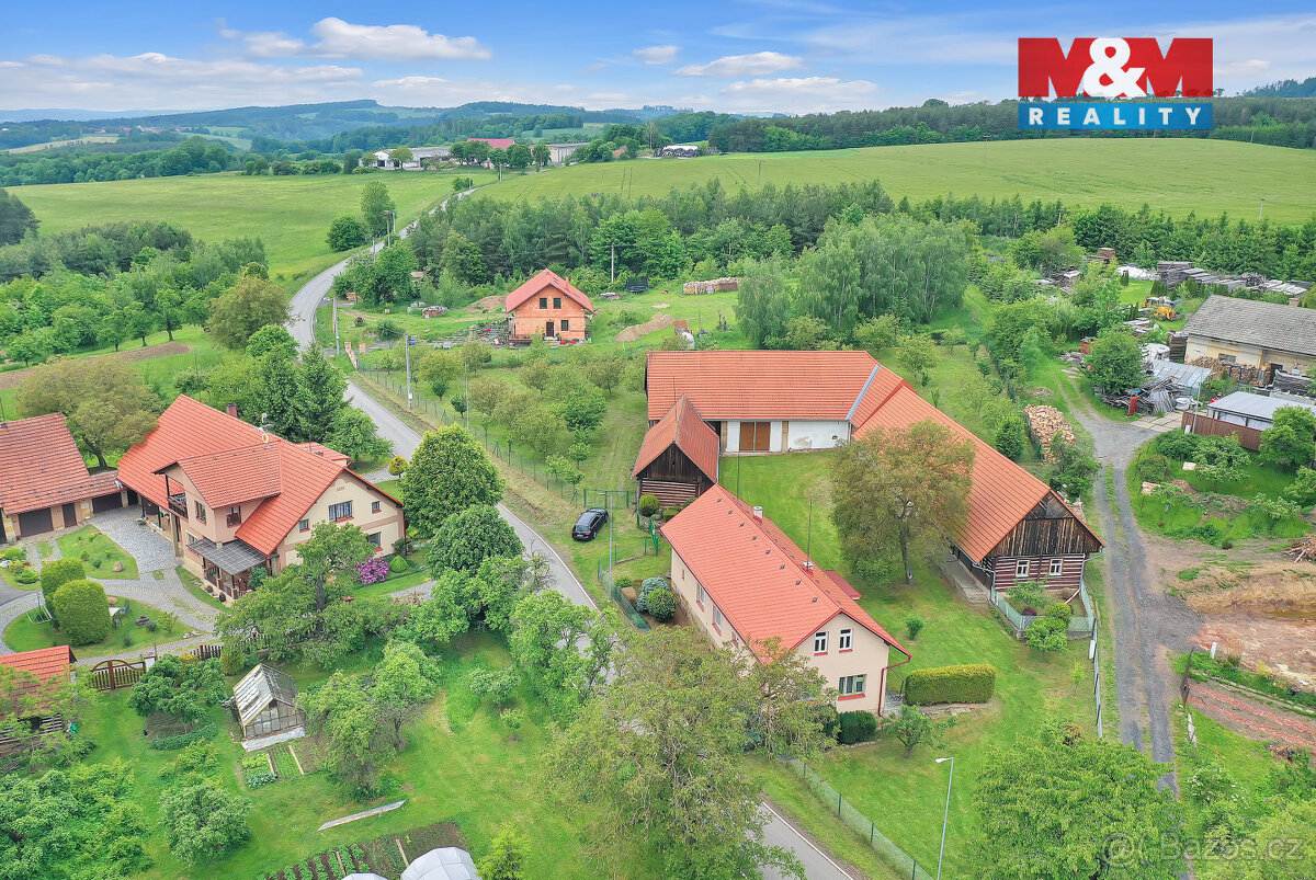 Prodej zemědělské usedlosti, 90 m², Borek - 16
