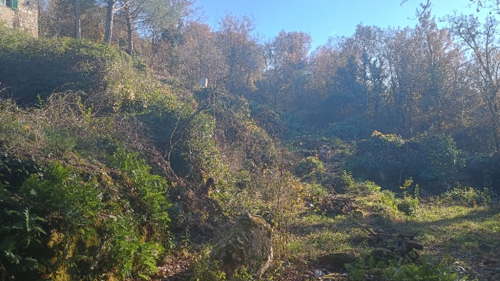 Itálie-Castro dei Volsci - 16