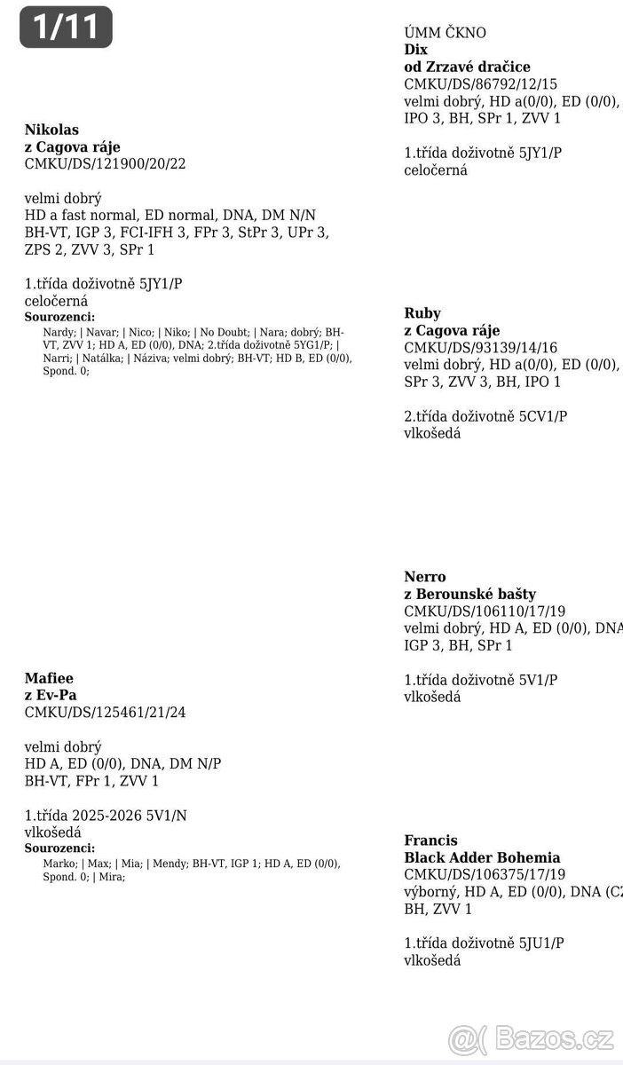 Německý ovčák s PP - 16